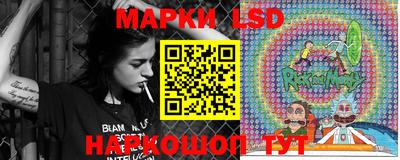 спиды Гатчина