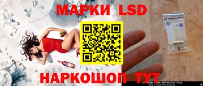 спиды Гатчина
