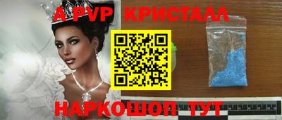 спиды Гатчина