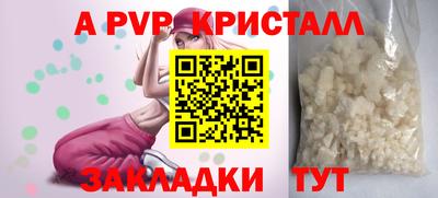 спиды Гатчина
