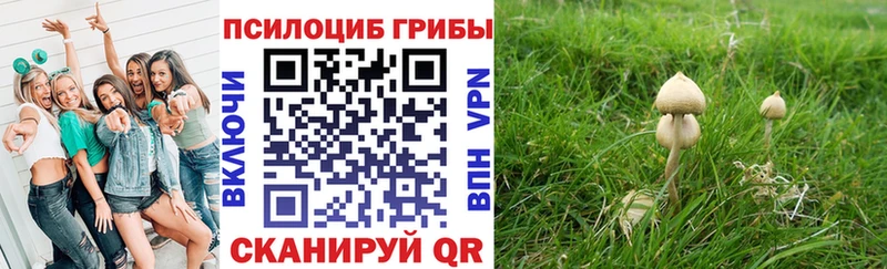 Псилоцибиновые грибы мицелий  Новосибирск 