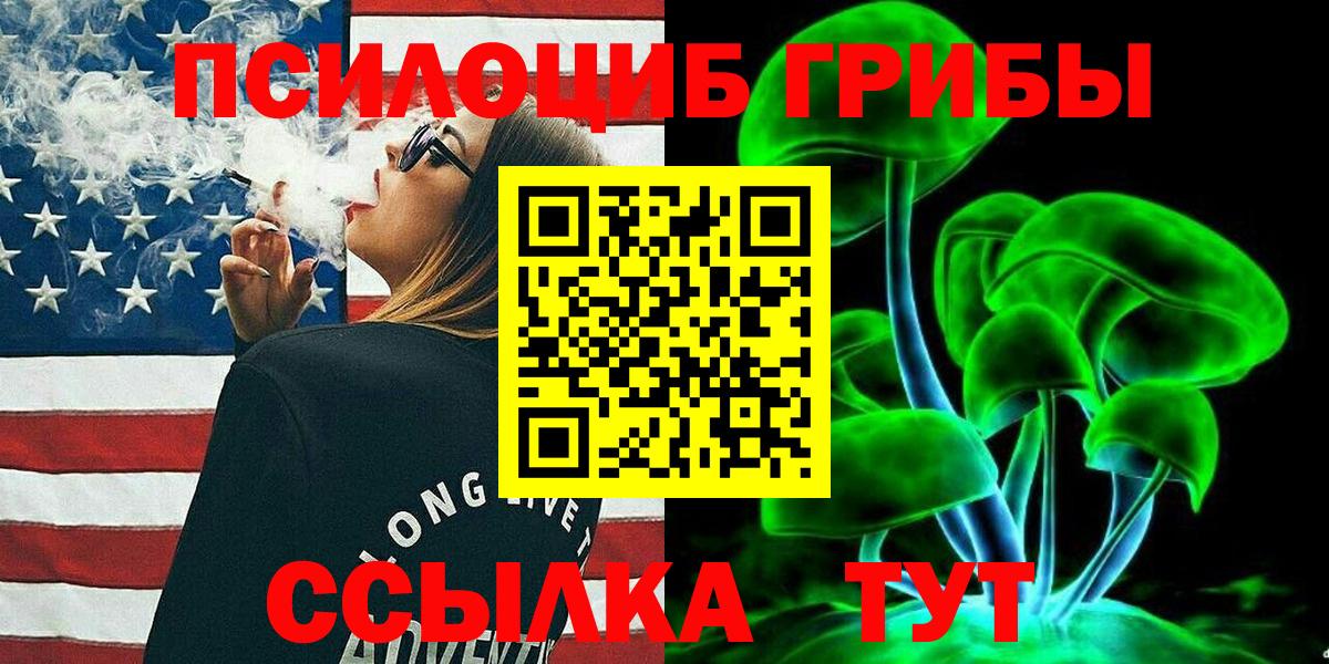 Псилоцибиновые грибы Cubensis  купить   Новосибирск  Вход с VPN 