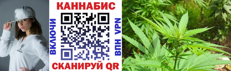 Шишки марихуана сатива  Новосибирск 
